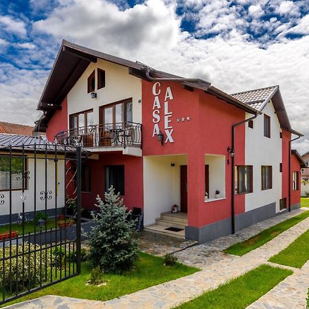 Casa Alex Calimanesti Hotell Eksteriør bilde